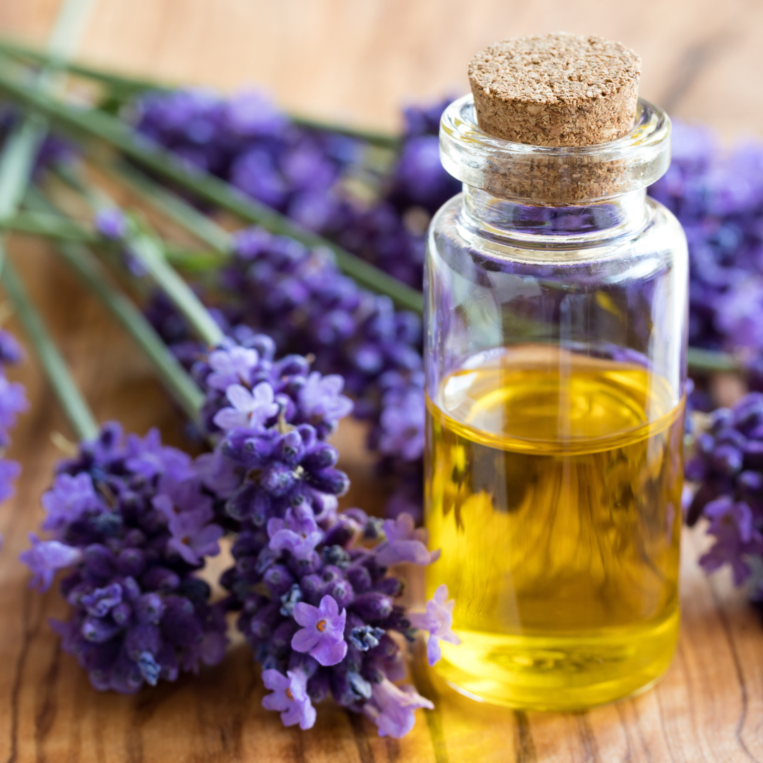 Lavendel Öl in einem Gläschen